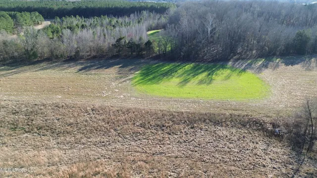 $520,000 | 990 Black Jack Road, Vaughan, MS 39179