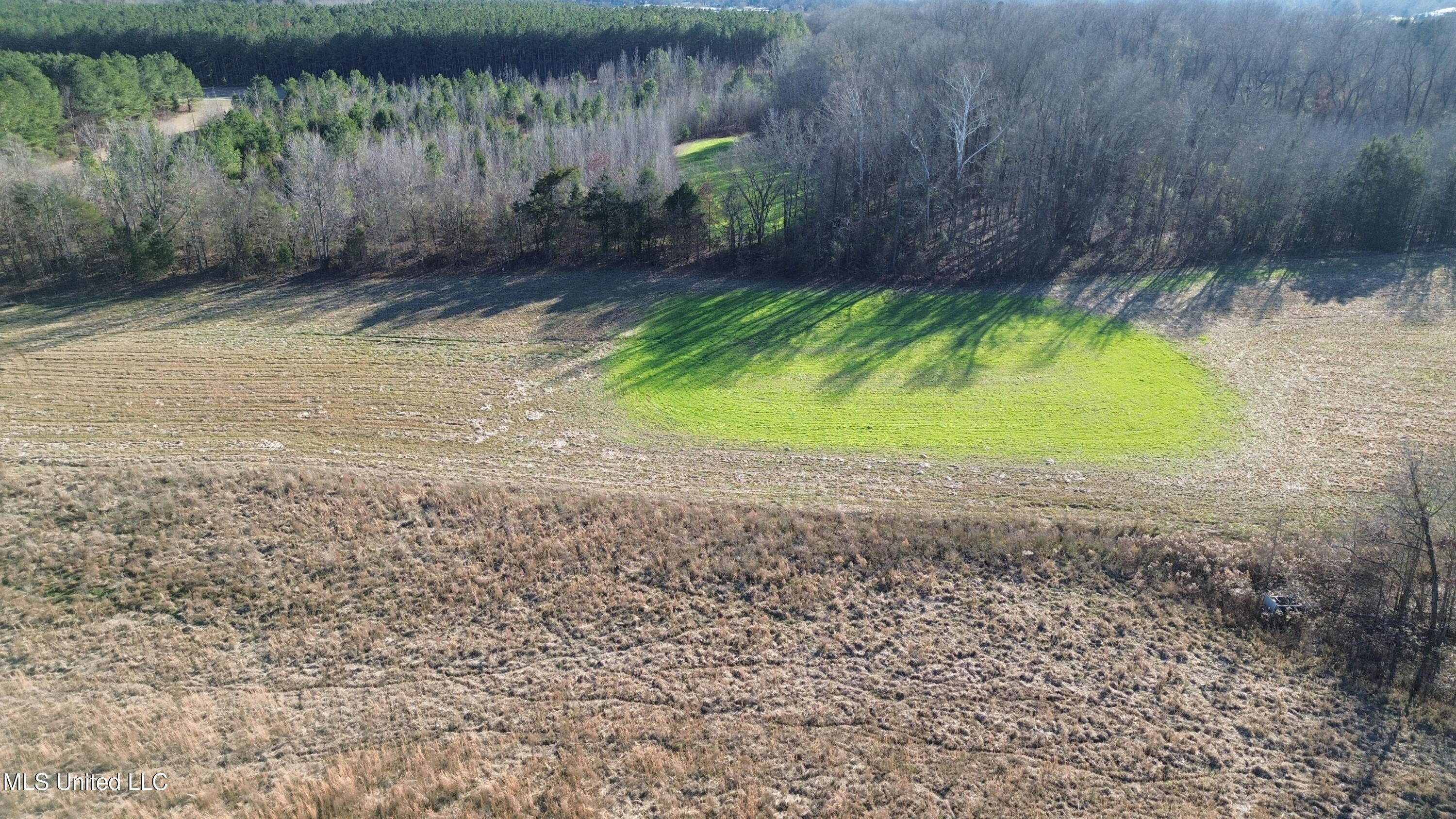 990 Black Jack Road Vaughan, MS 39179 - Photo 17 of 23 DJI_0273