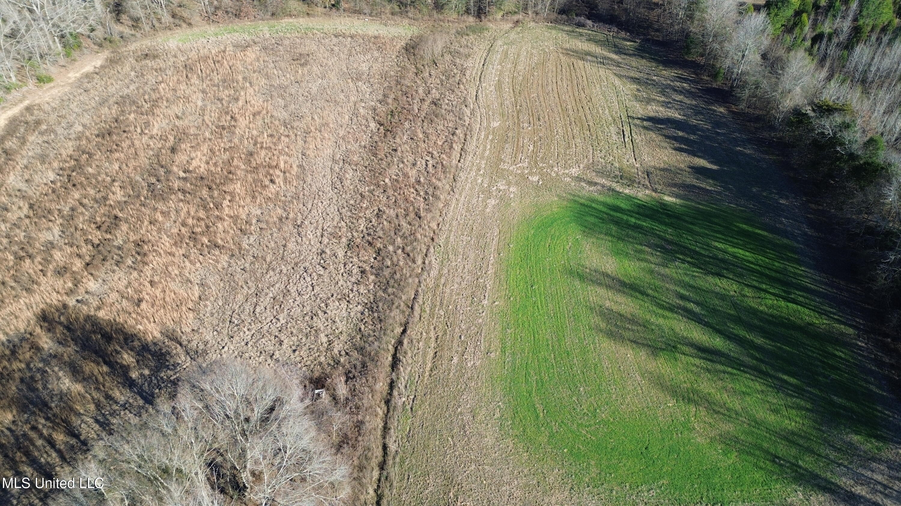 990 Black Jack Road Vaughan, MS 39179 - Photo 18 of 23 DJI_0277