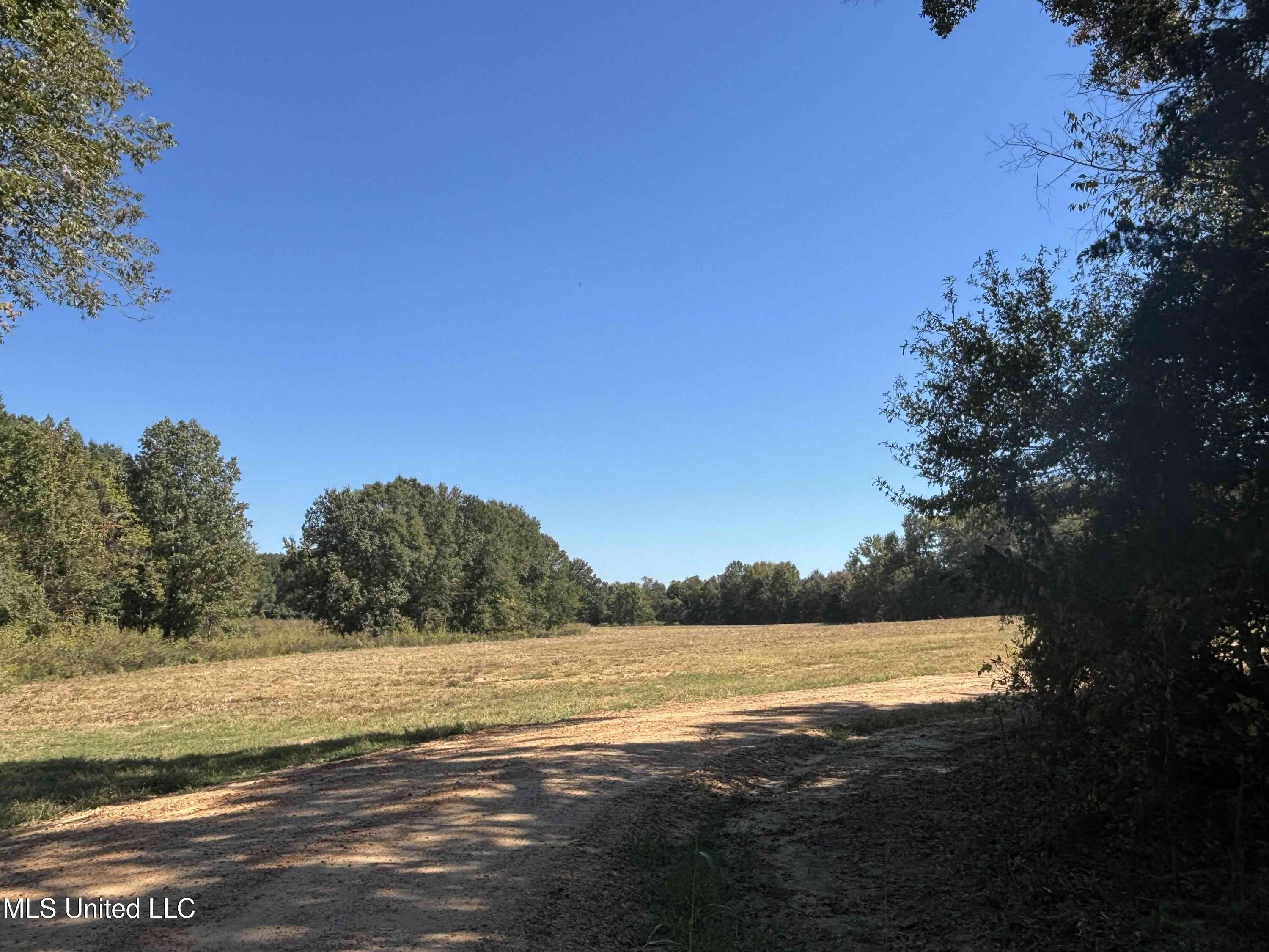 990 Black Jack Road Vaughan, MS 39179 - Photo 21 of 23 IMG_0791