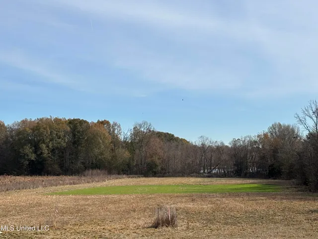 $520,000 | 990 Black Jack Road, Vaughan, MS 39179