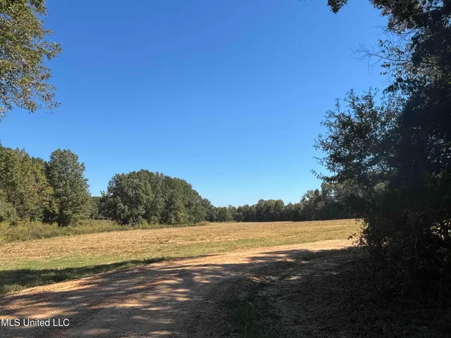 $520,000 | 990 Black Jack Road, Vaughan, MS 39179