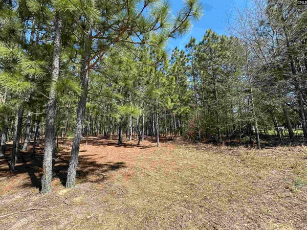 $101,150 | Lot 1 Mimosa Drive, Gaston, SC 29053
