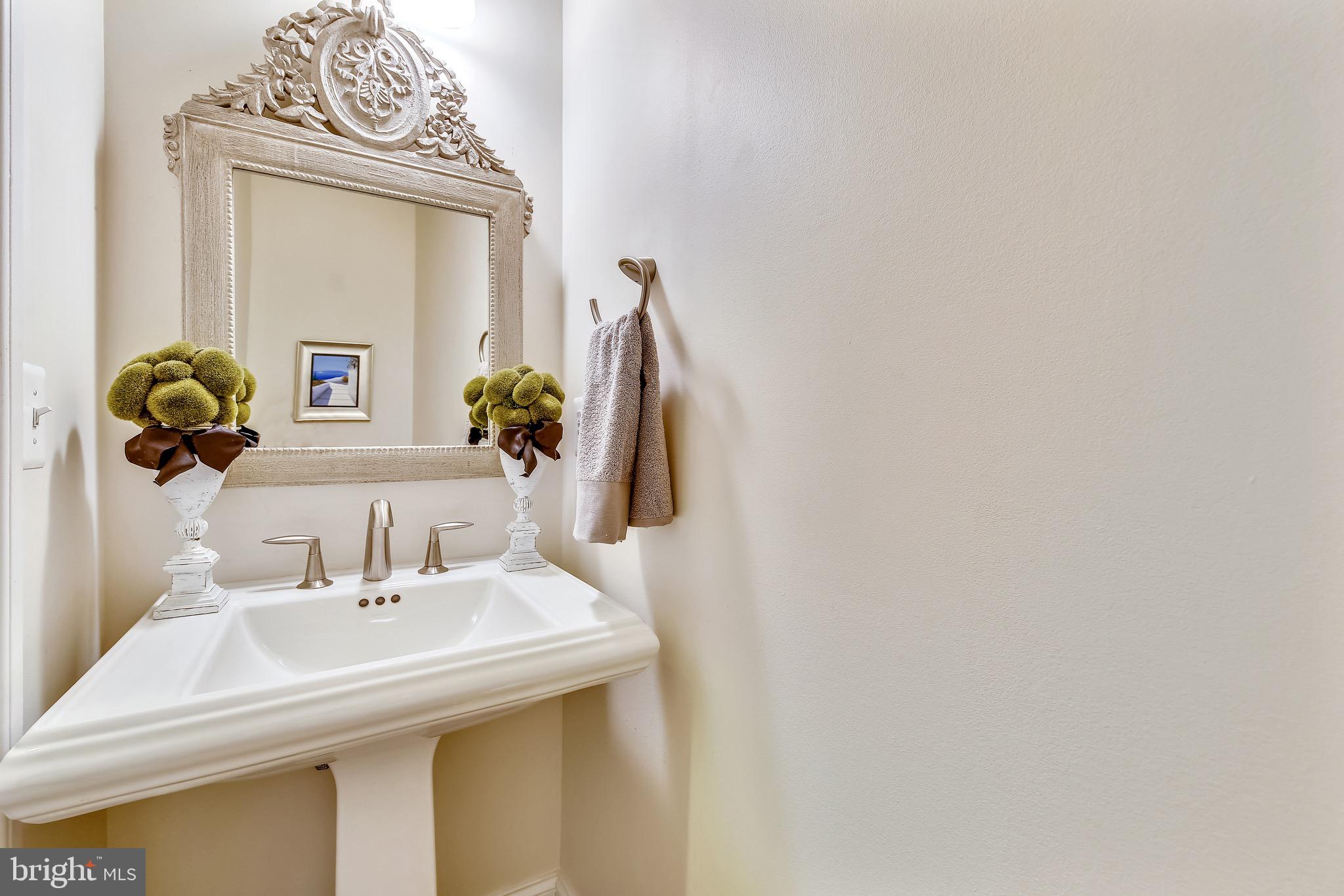 1411 Ridgeview Way Washington, DC 20007 - Photo 13 of 43 a bathroom with a sink and a mirror