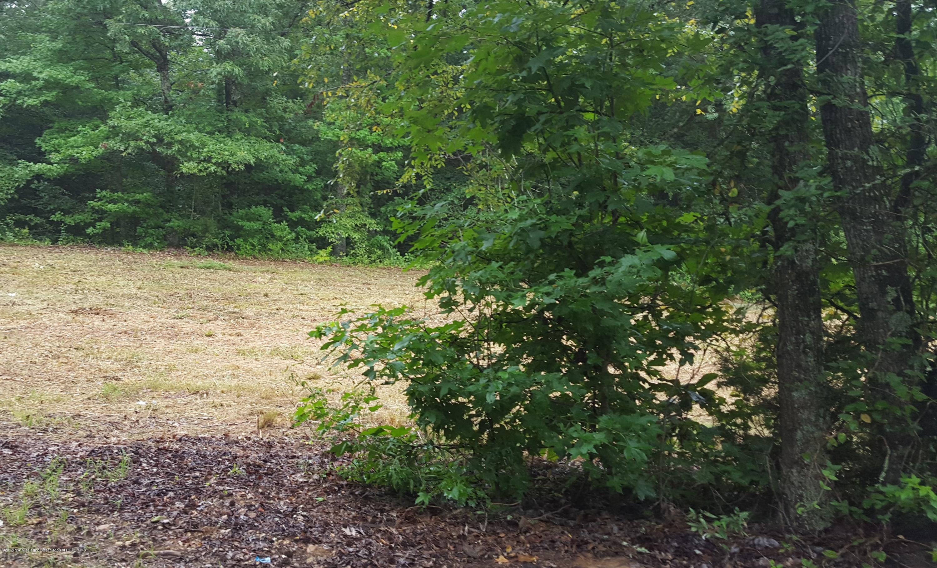 0 North Crockett Road Senatobia, MS 38668 - Photo 3 of 4 Image 8-18-15 at 10.12 AM (1)