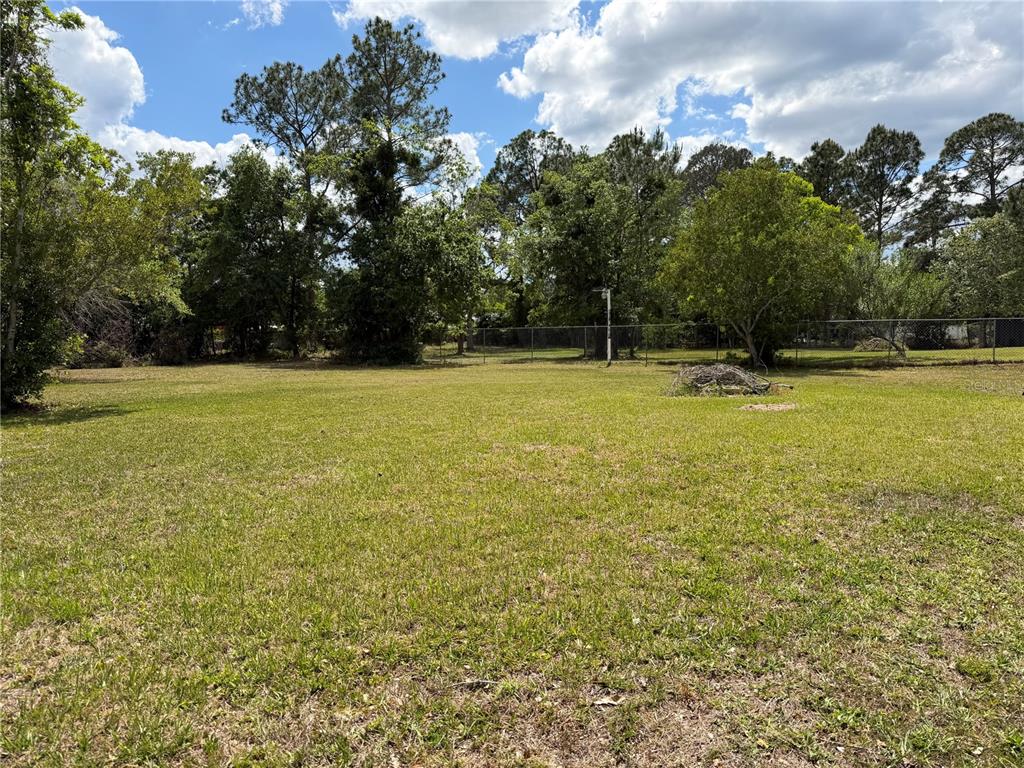 24138 Panther Road Astor, FL 32102 - Photo 26 of 34