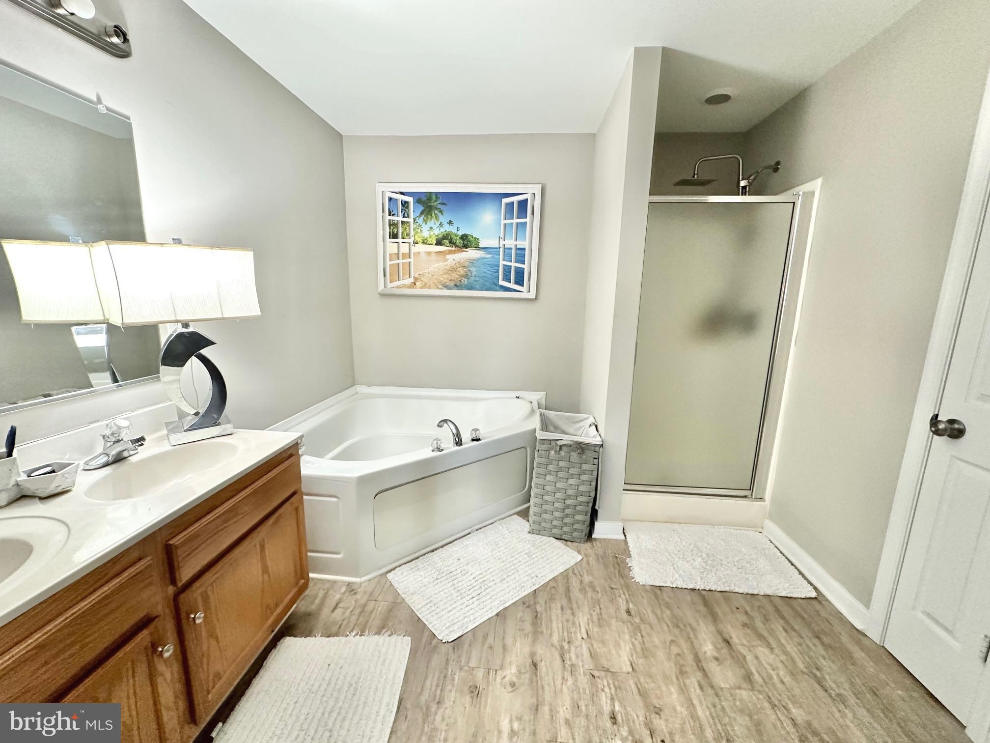 4343 Stately Oak Road North Chesterfield, VA 23234 - Photo 16 of 17 a bathroom with a sink a mirror and a bathtub