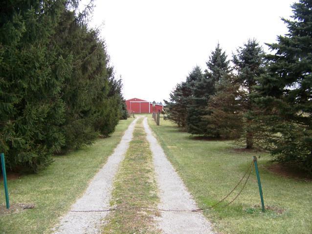 4381 Zuber Road Orient, OH 43146 - Photo 3 of 4 Gallery Image 3