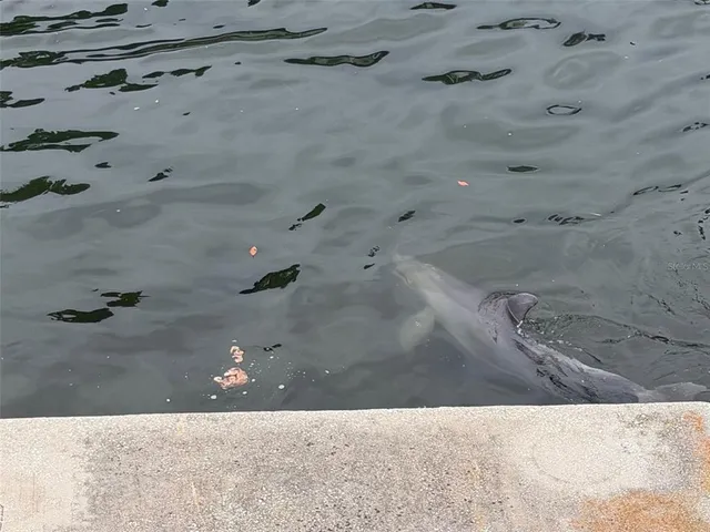 $490,000 | 6432 Driftwood Drive, Hudson, FL 34667