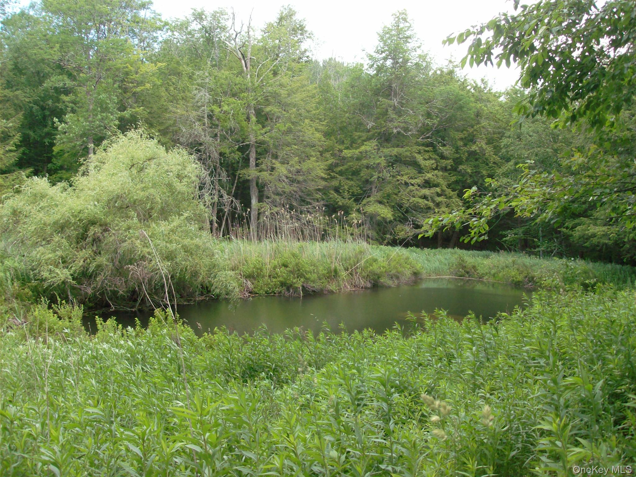 70 Bonnie Brook Road Roscoe, NY 12776 - Photo 28 of 33