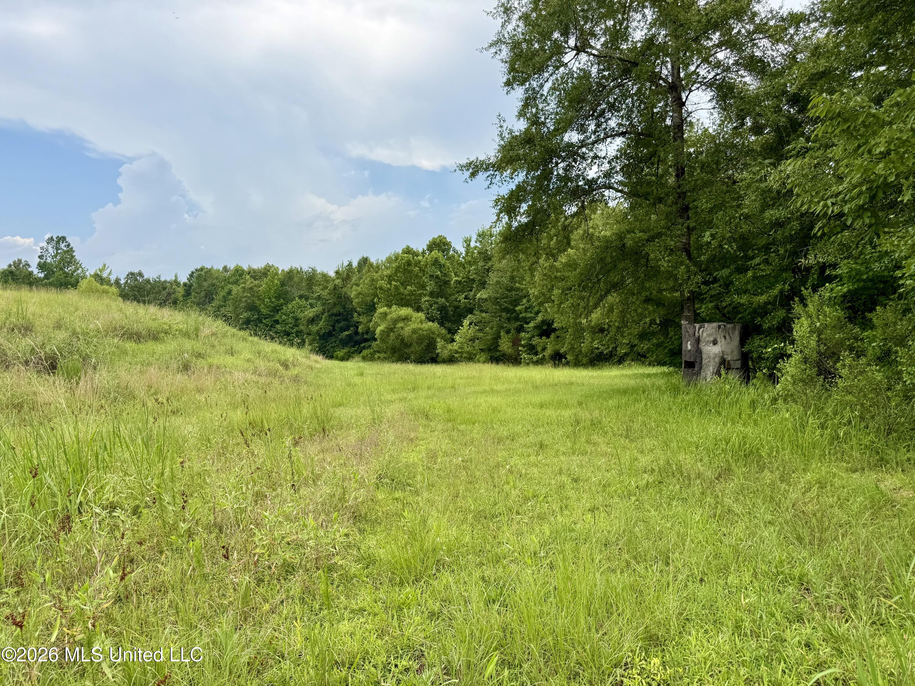 568 Smith-Bailey Road Durant, MS 39063 - Photo 50 of 81 Photo Jul 02 2026, 2 25 06 PM