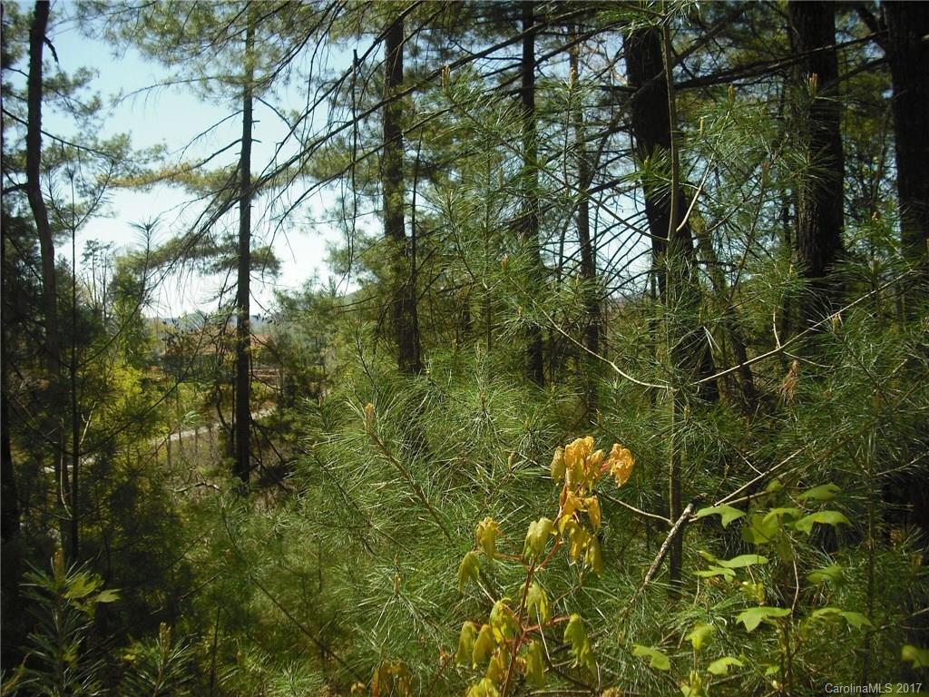 5 Hunting Ridge Lane, Unit LOT 11 Leicester, NC 28748 - Photo 2 of 18 Gallery Image 2