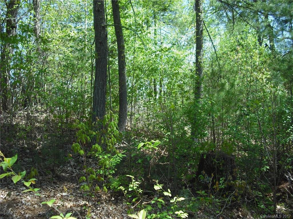 5 Hunting Ridge Lane, Unit LOT 11 Leicester, NC 28748 - Photo 11 of 18 Gallery Image 11