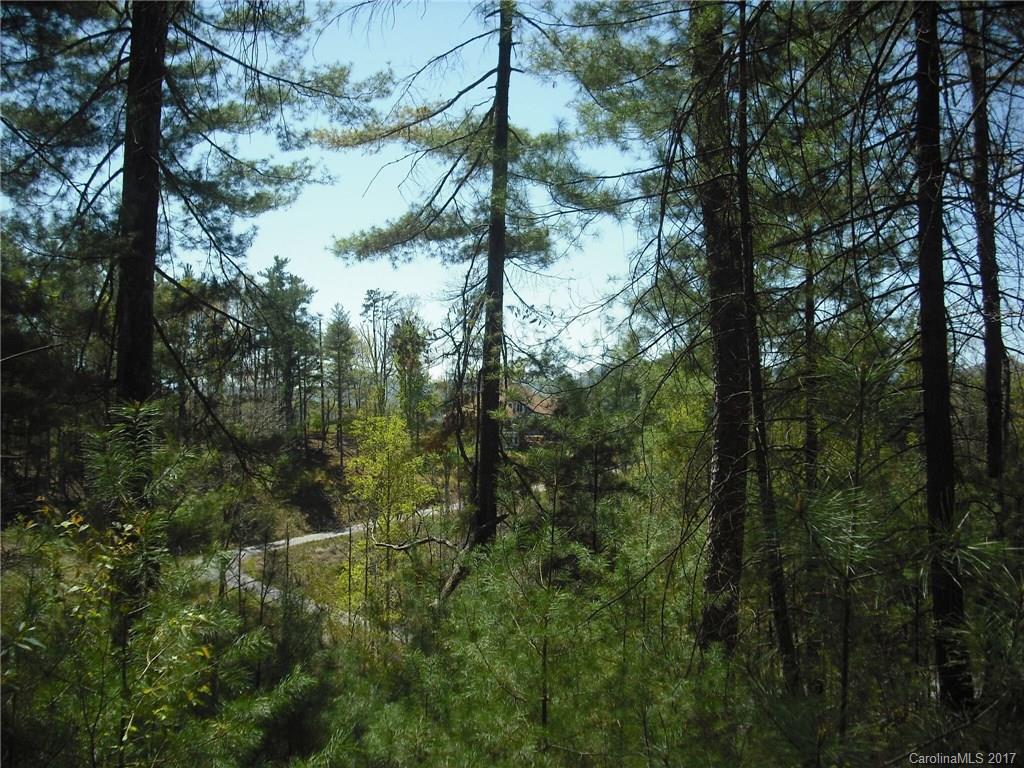 5 Hunting Ridge Lane, Unit LOT 11 Leicester, NC 28748 - Photo 4 of 18 Gallery Image 4