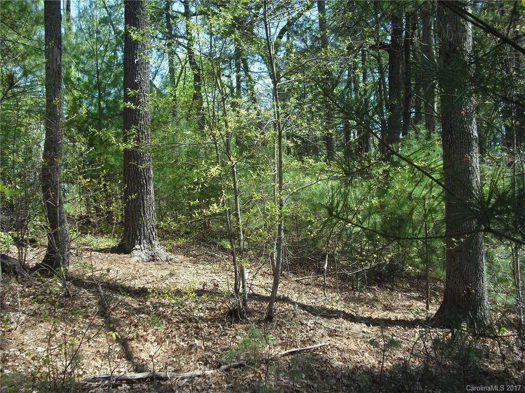 5 Hunting Ridge Lane, Unit LOT 11 Leicester, NC 28748 - Photo 6 of 18 Gallery Image 6