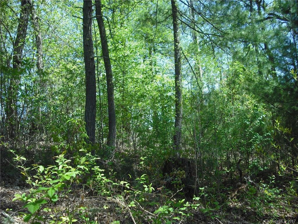 5 Hunting Ridge Lane, Unit LOT 11 Leicester, NC 28748 - Photo 7 of 18 Gallery Image 7