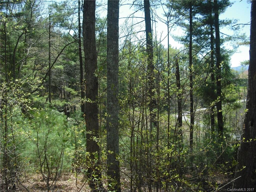 5 Hunting Ridge Lane, Unit LOT 11 Leicester, NC 28748 - Photo 9 of 18 Gallery Image 9
