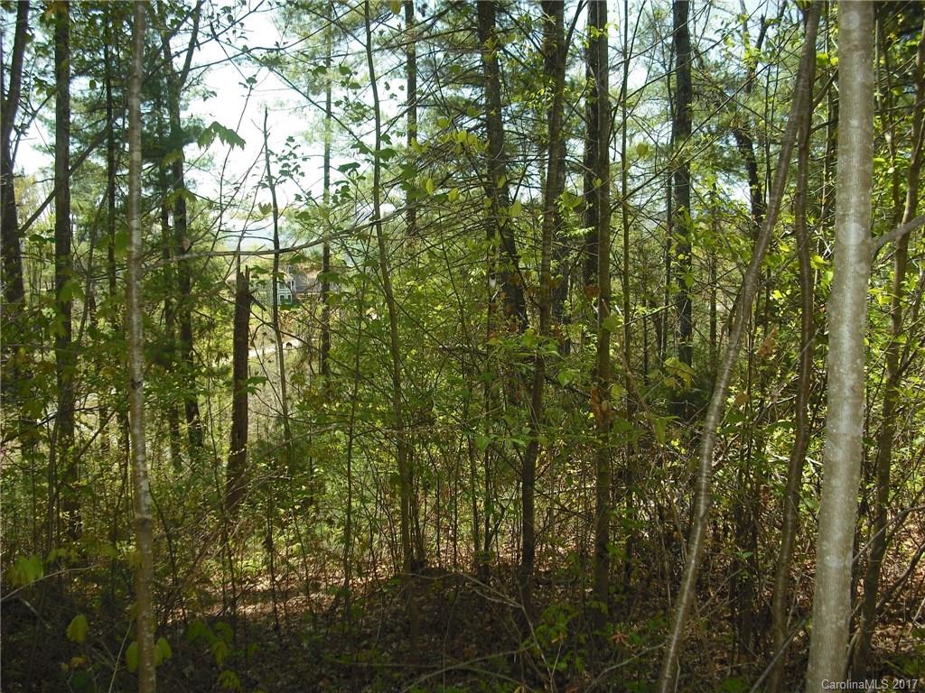 5 Hunting Ridge Lane, Unit LOT 11 Leicester, NC 28748 - Photo 10 of 18 Gallery Image 10