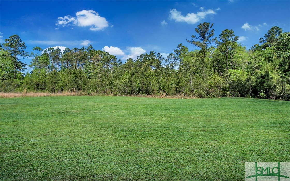 4018 Blue Jay Road Guyton, GA 31312 - Photo 42 of 44 Gallery Image 42