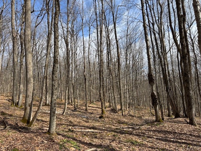 Harris Road Cincinnatus, NY 13040 - Photo 16 of 22 Gallery Image 16