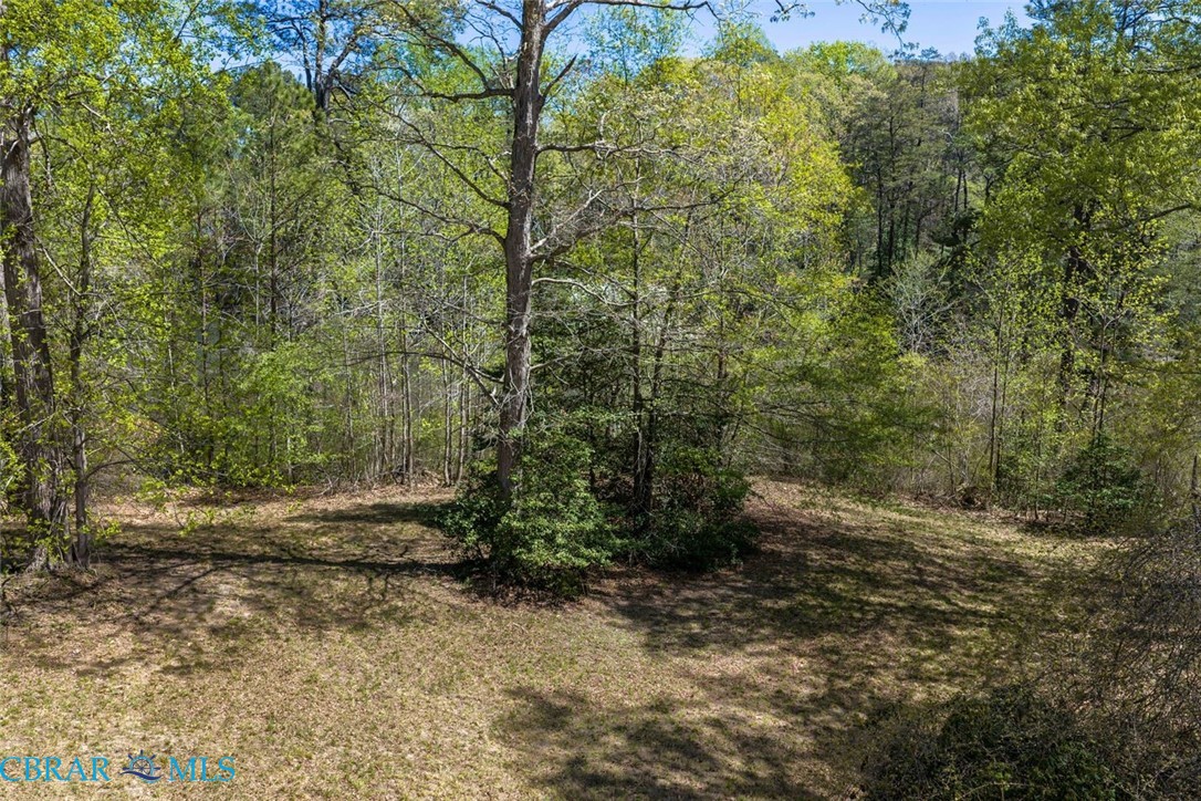 0 Dancers Creek Road Gloucester, VA 23061 - Photo 16 of 22