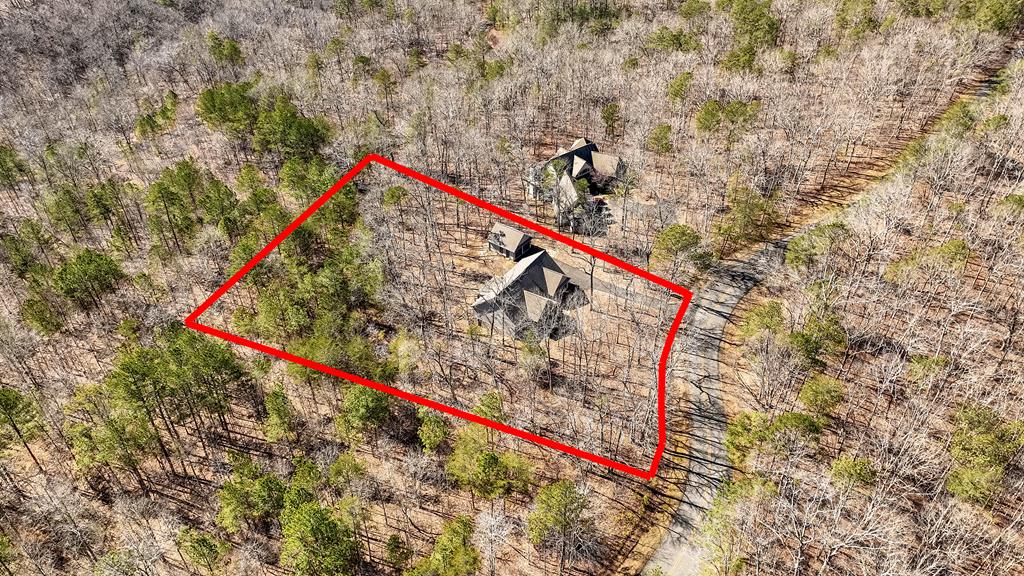 237 Doll Mountain Road Ellijay, GA 30540 - Photo 40 of 45 Gallery Image 40