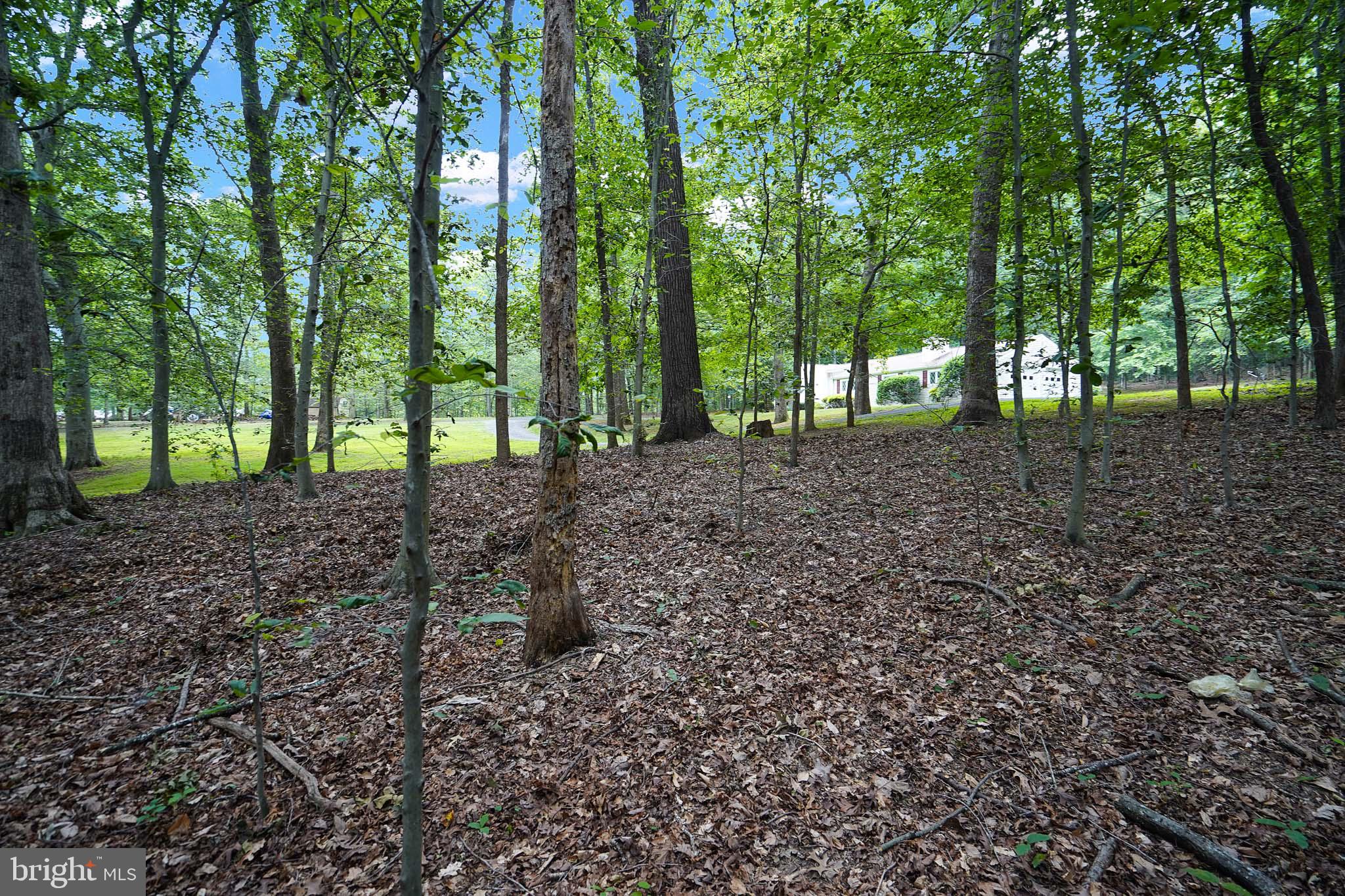 6067 Pilgrims Rest Road Broad Run, VA 20137 - Photo 57 of 58
