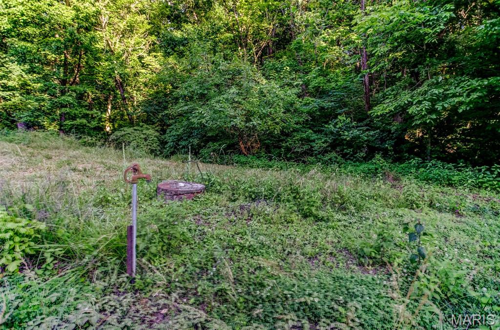 575 Schleeper Hollow Road Hardin, IL 62047 - Photo 26 of 61