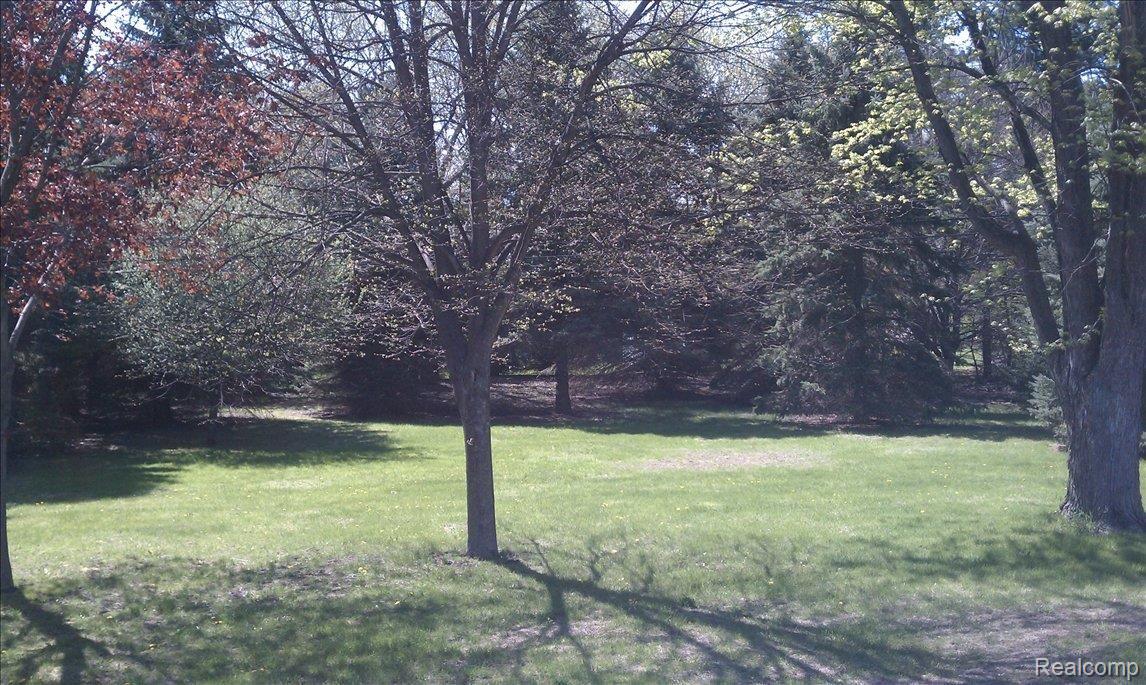 217 Nevada Avenue Rochester, MI 48309 - Photo 13 of 14 Nevada backyard