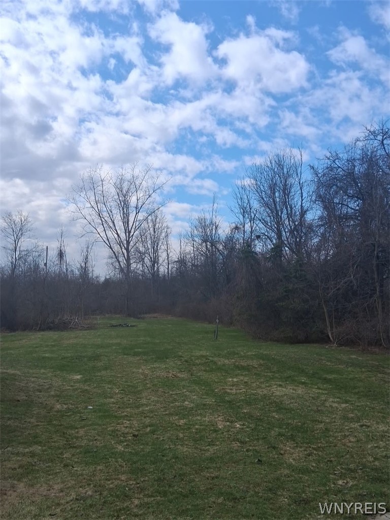 6342 Campbell Boulevard Pendleton, NY 14094 - Photo 10 of 10 Back yard