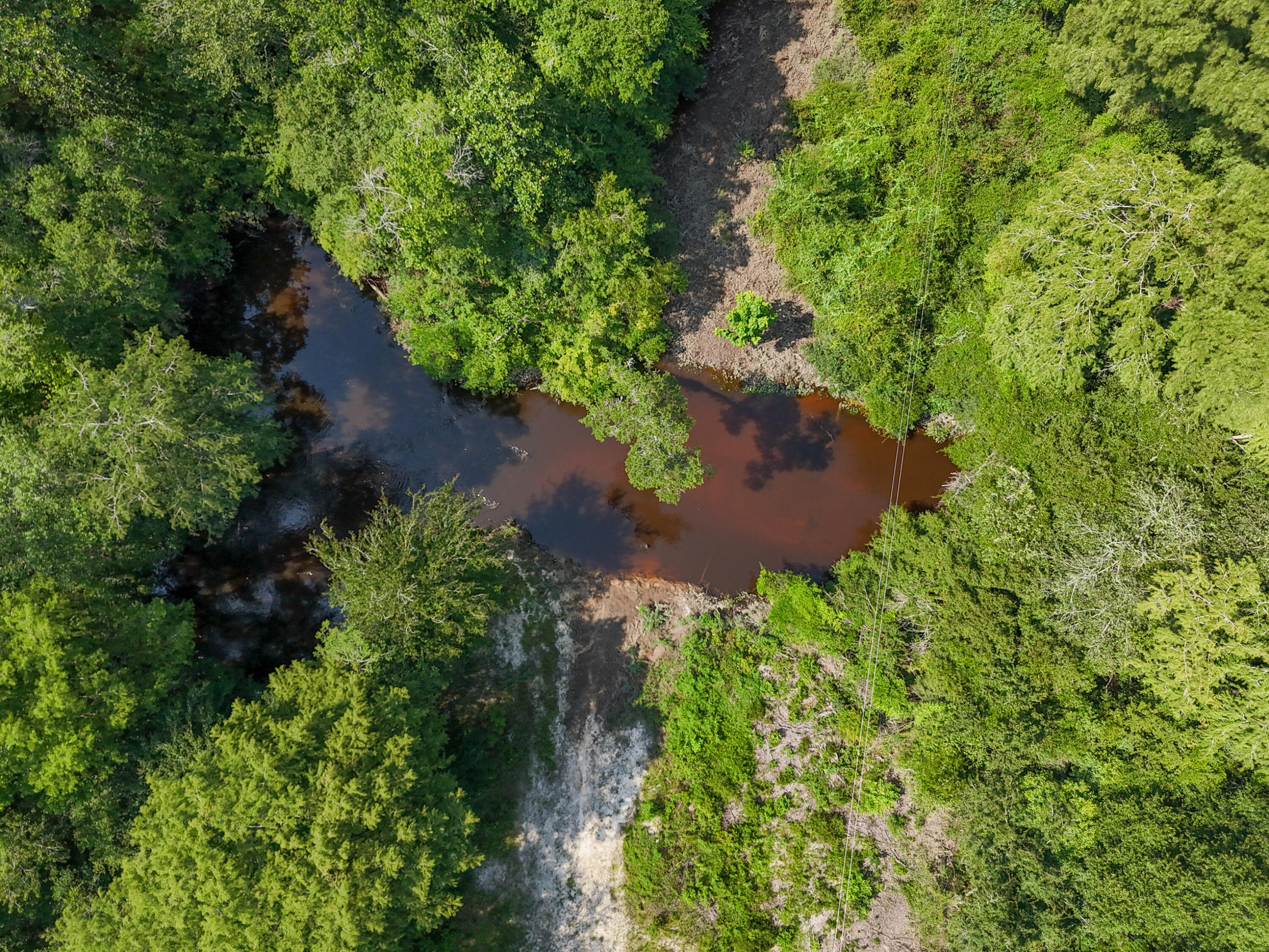 3128 County Road 10 Samson, AL 36477 - Photo 50 of 67 DJI_20260630231834_0044_D