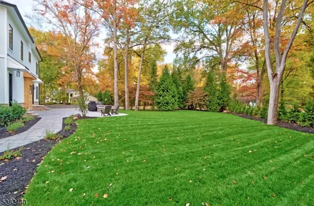 a view of yard with green space