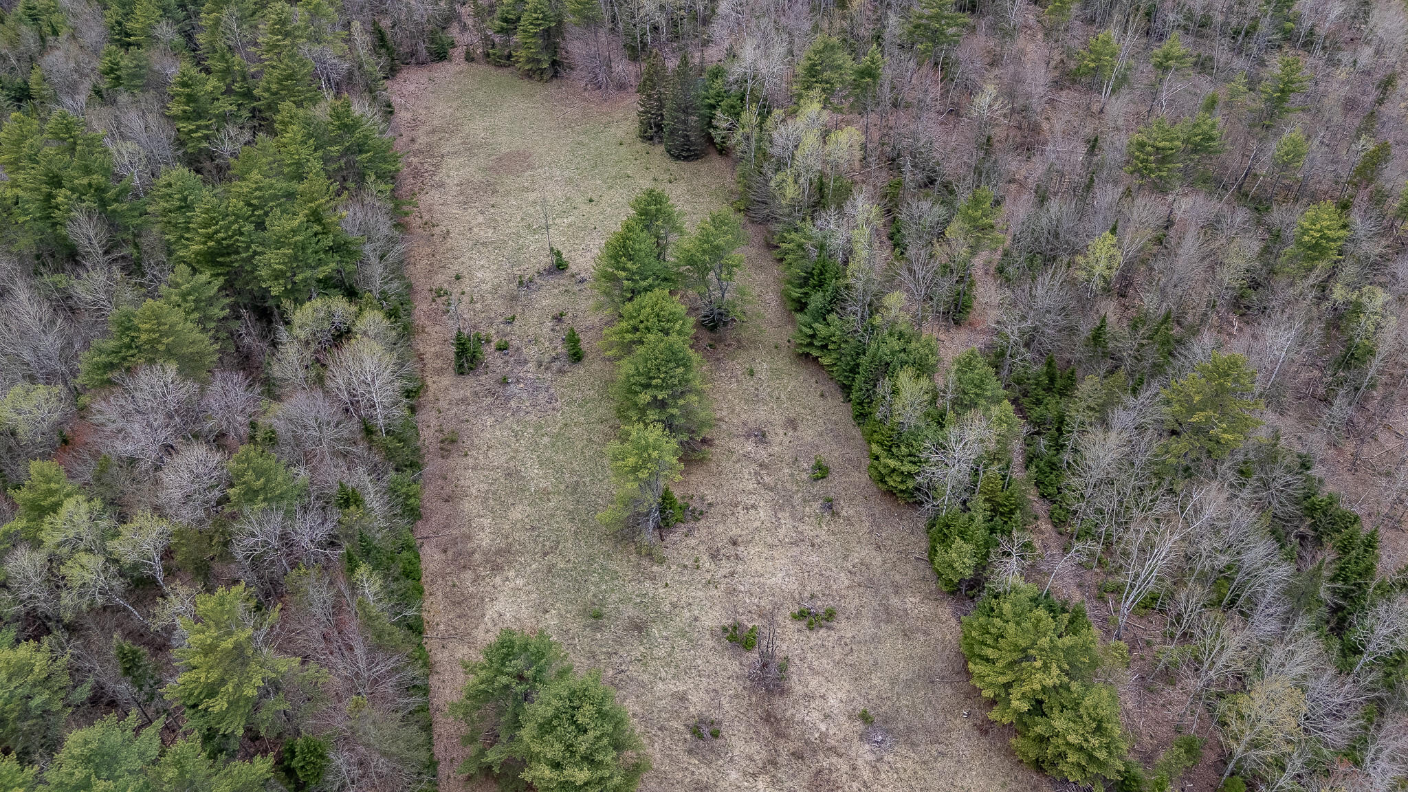 394 Frenchs Mill Road Sangerville, ME 04479 - Photo 84 of 105