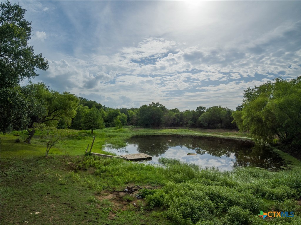 a view of a lake with a yard and large trees
