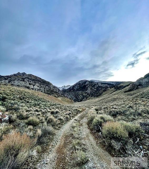 125 Crows Nest Loop Mackay, ID 83251 - Photo 7 of 13 BLM Land