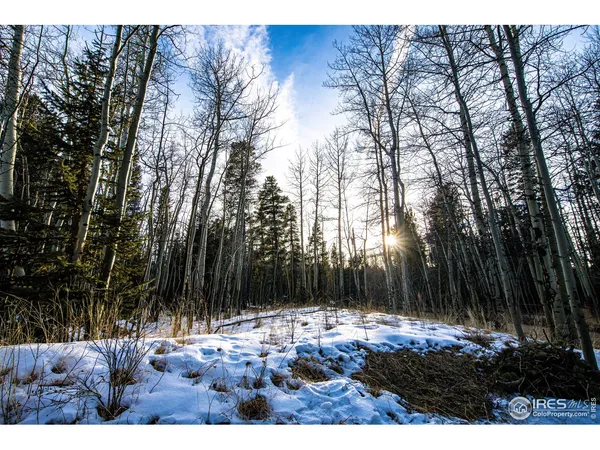 $781,000 | 172 Thorn Circle, Black Hawk, CO 80422