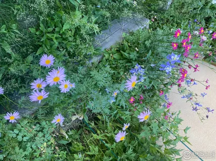 $819,000 | 172 Thorn Circle, Black Hawk, CO 80422