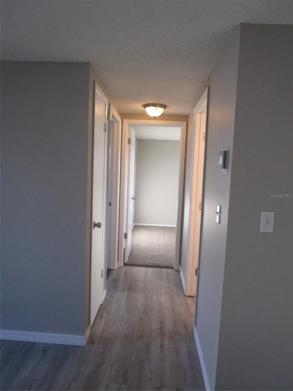 11611 Constance Drive Port Richey, FL 34668 - Photo 9 of 28