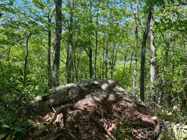 0 Soco Road Maggie Valley, NC 28751 - Photo 17 of 26