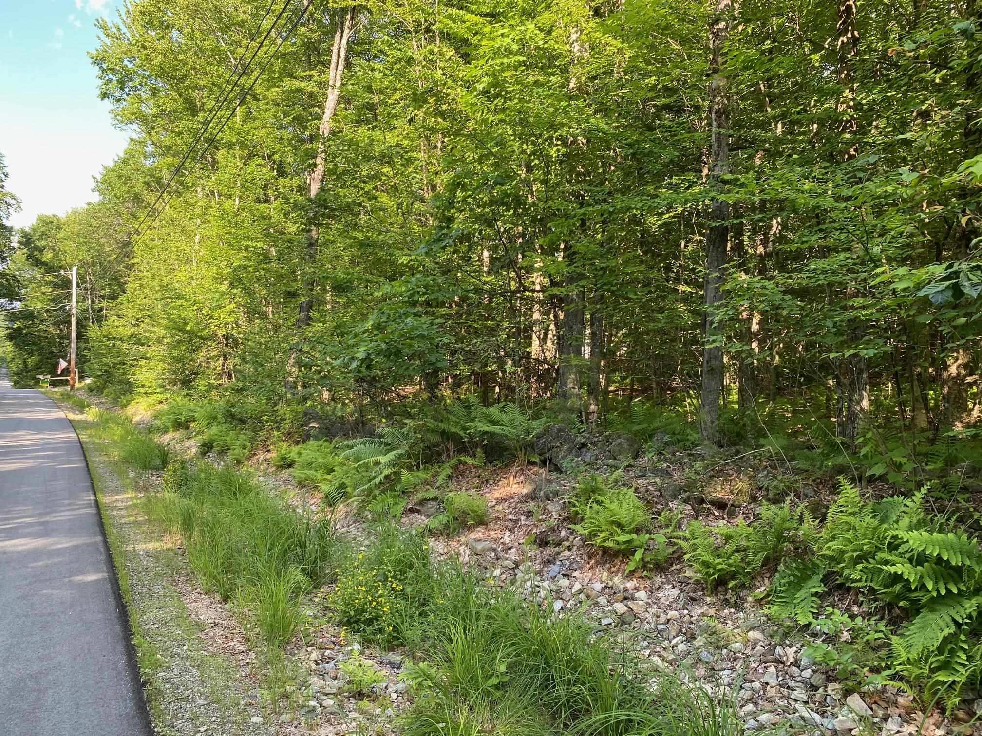18-3 Mason Road Milton, NH 03851 - Photo 2 of 6