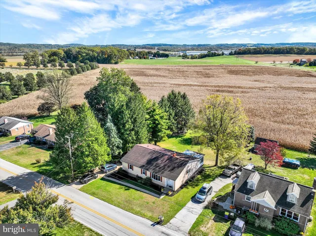 a view of a yard with a tree