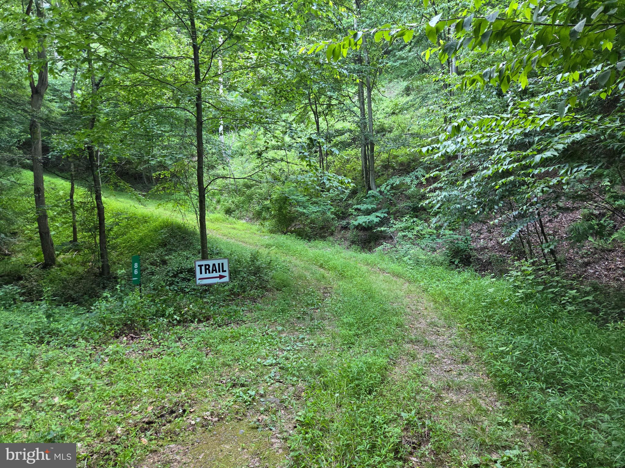 0 Carlisle Gap Road Lewistown, PA 17044 - Photo 7 of 53