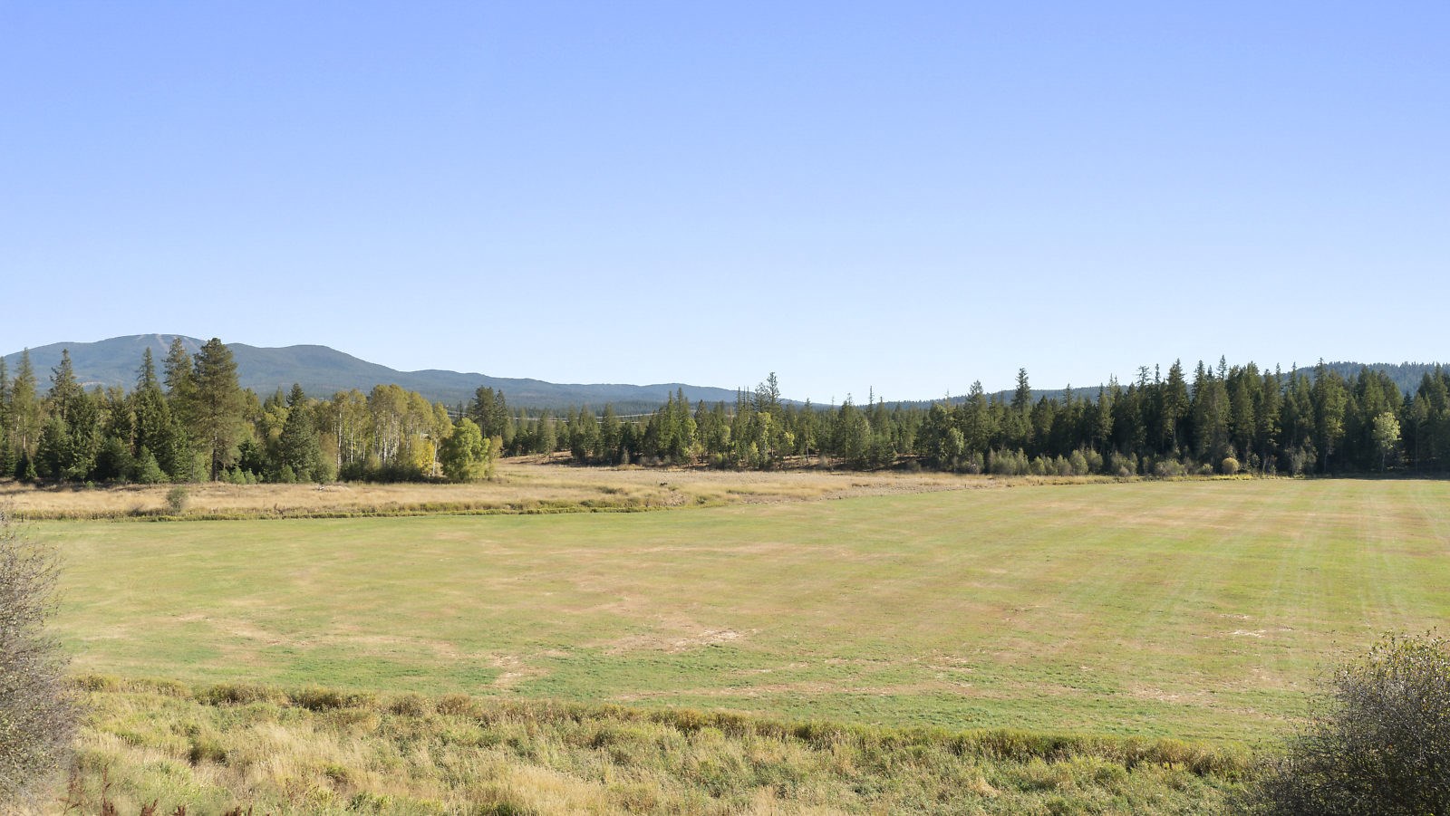 39122 North Bruce Road Elk, WA 99009 - Photo 6 of 26