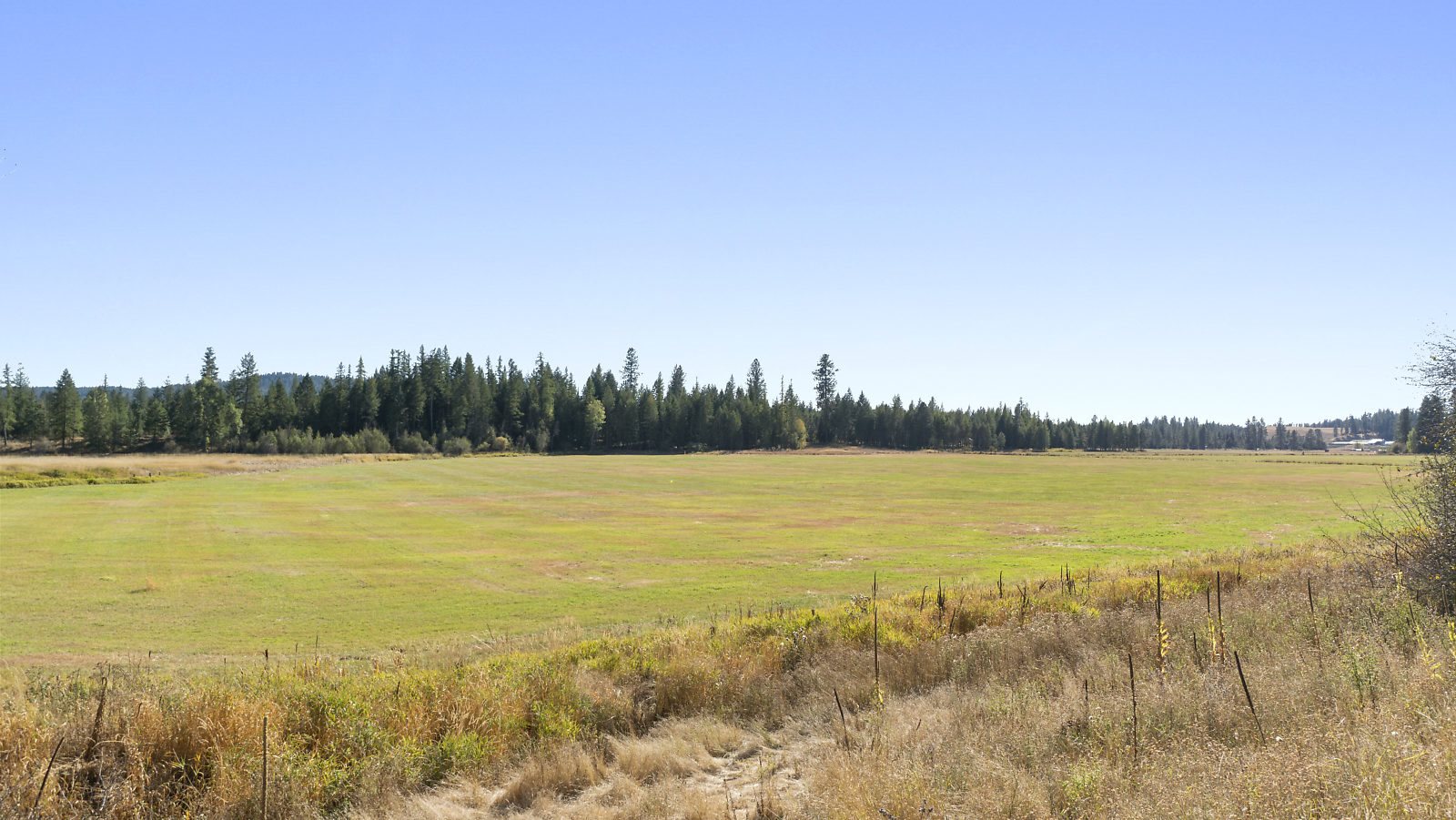 39122 North Bruce Road Elk, WA 99009 - Photo 7 of 26