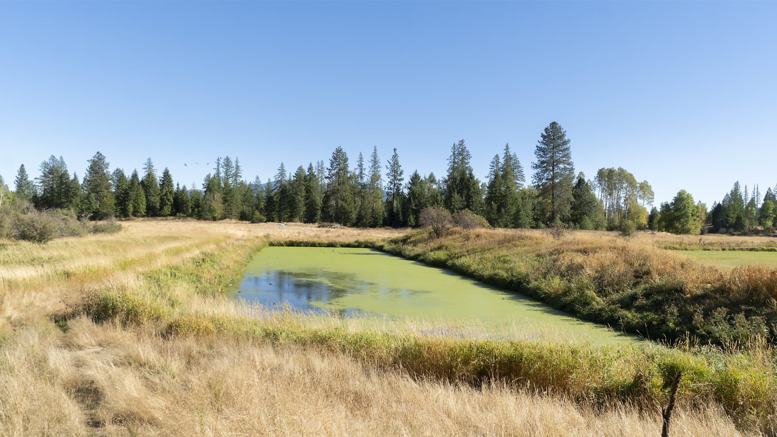 39122 North Bruce Road Elk, WA 99009 - Photo 8 of 26