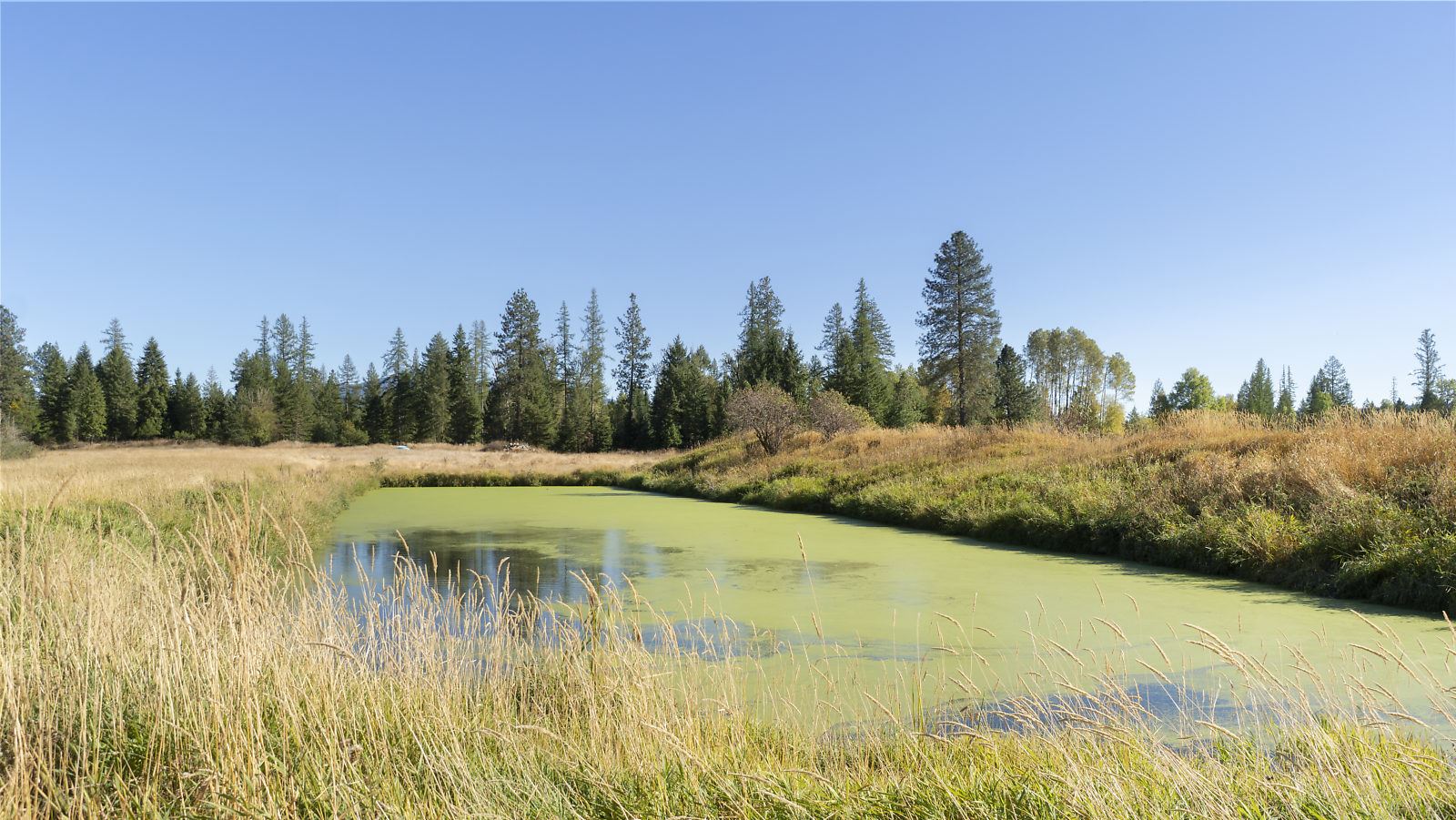39122 North Bruce Road Elk, WA 99009 - Photo 9 of 26
