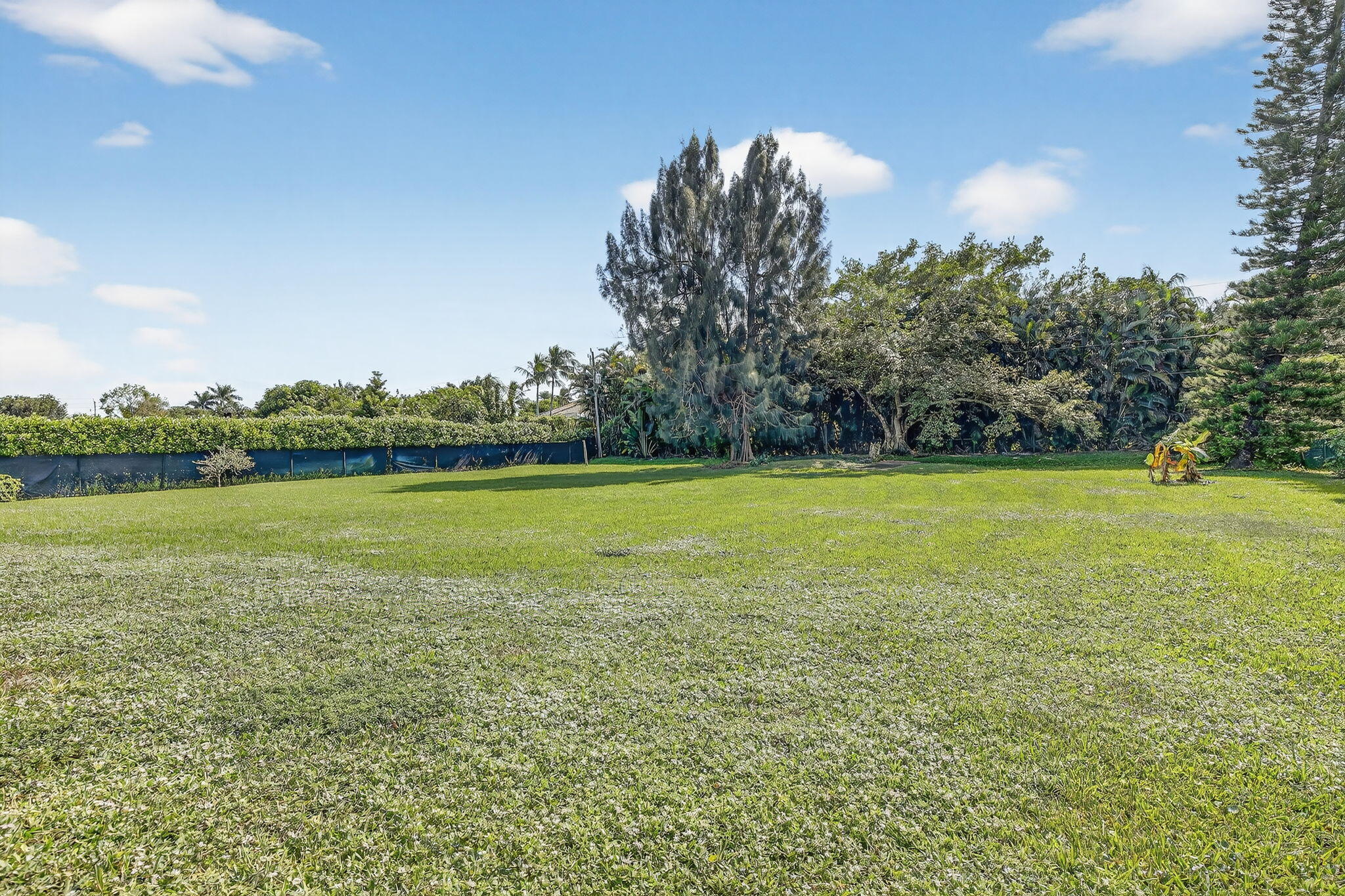 13150 Southwest 16th Court Davie, FL 33325 - Photo 49 of 59 a view of a green field with trees in the background