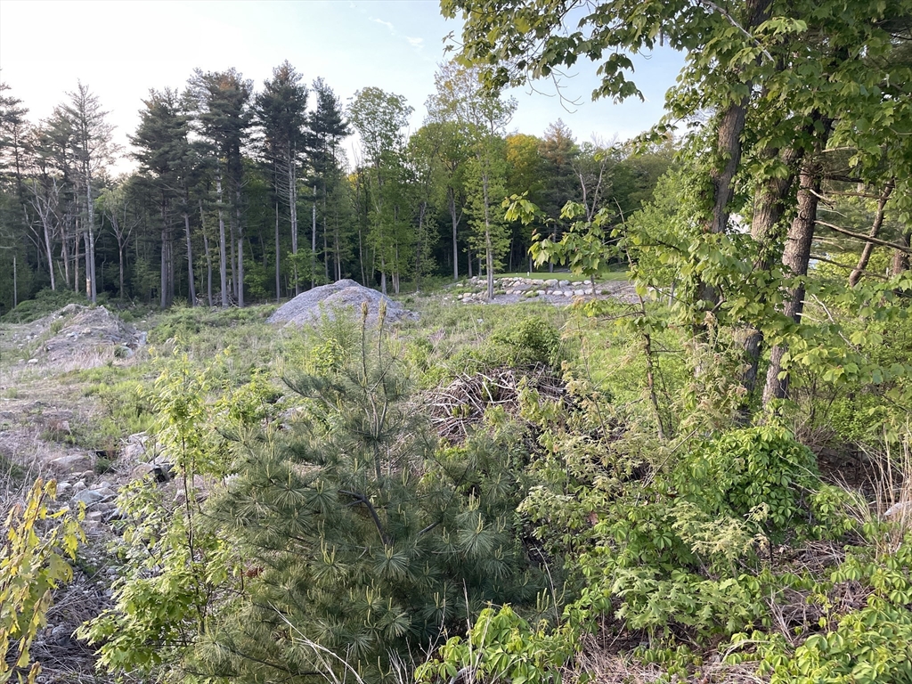 Lot 4 Foxboro Road Wrentham, MA 02093 - Photo 1 of 4 Gallery Image 1
