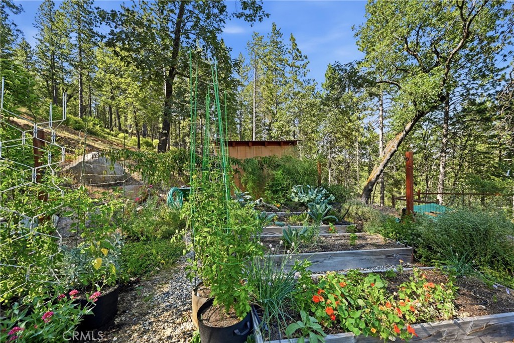 11240 Loch Lomond Road Middletown, CA 95461 - Photo 40 of 54