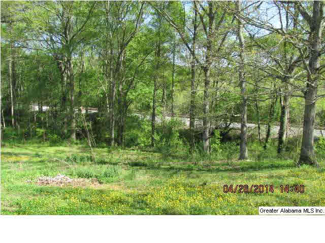 207 County Road 432 Fruithurst, AL 36262 - Photo 6 of 22